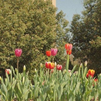 开元棋下载app截图